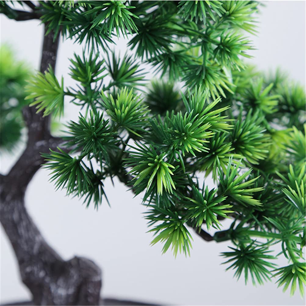 観葉植物、松、庭のお飾り